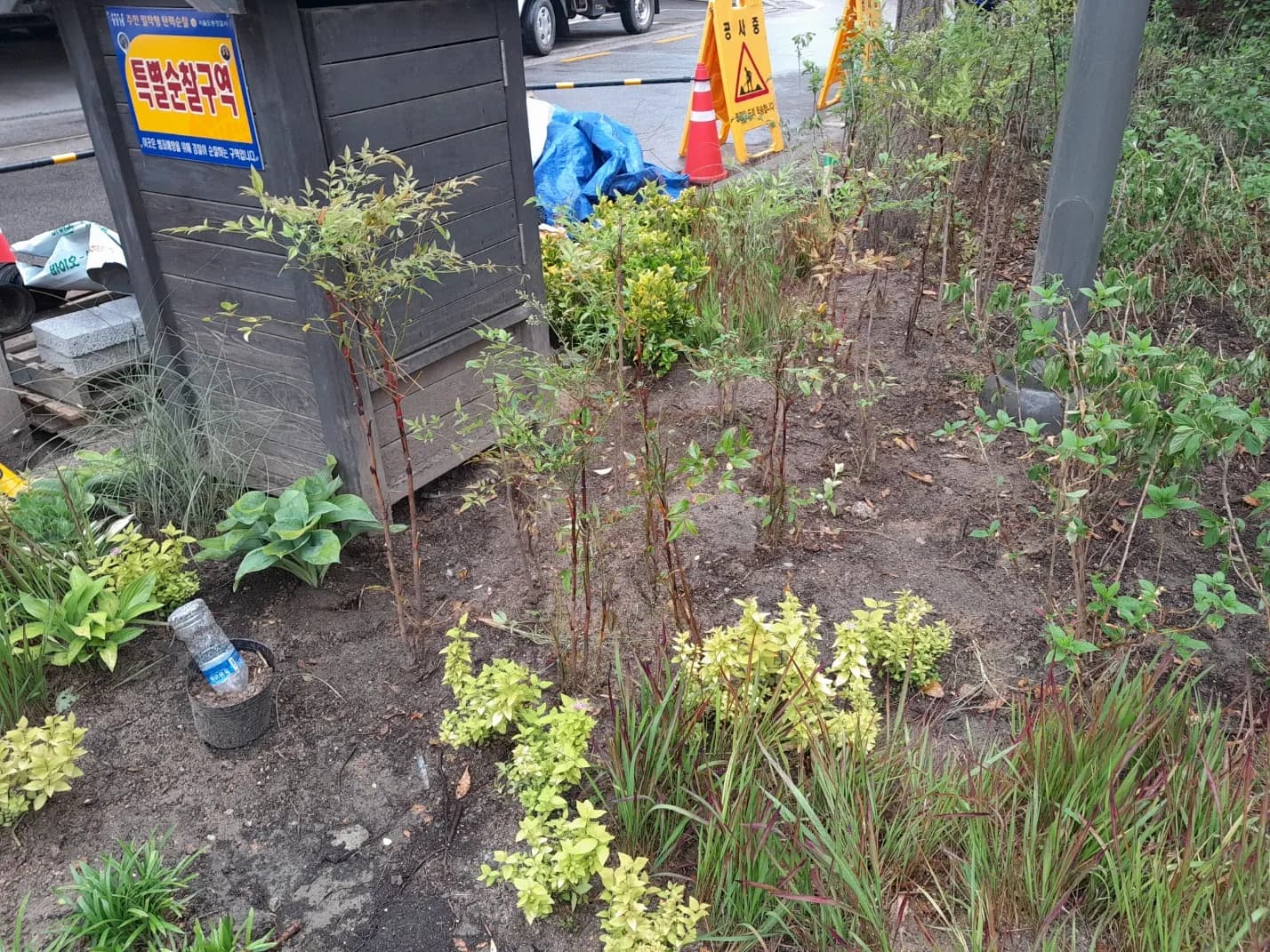 삼성조경 수목납품 예시