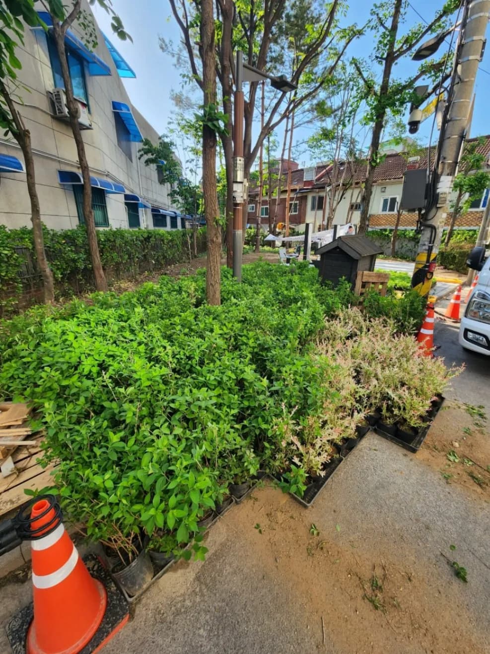 삼성조경 정원설계