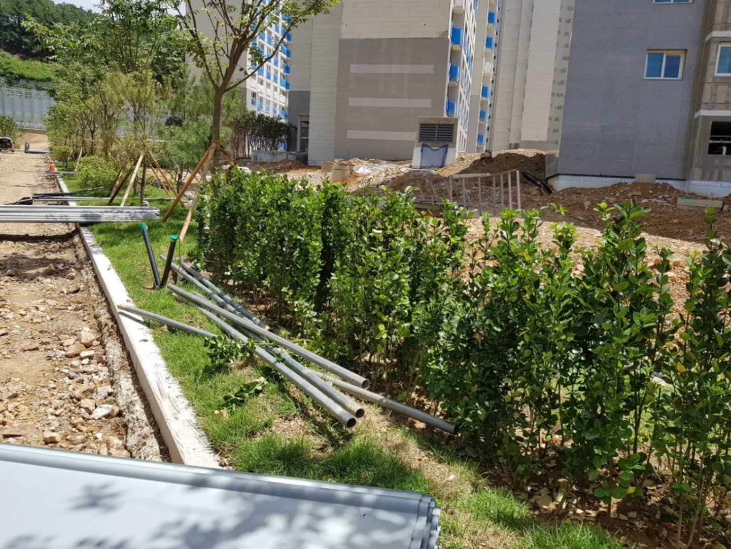 조경식재공사 환경 분석 및 수종 선정 과정