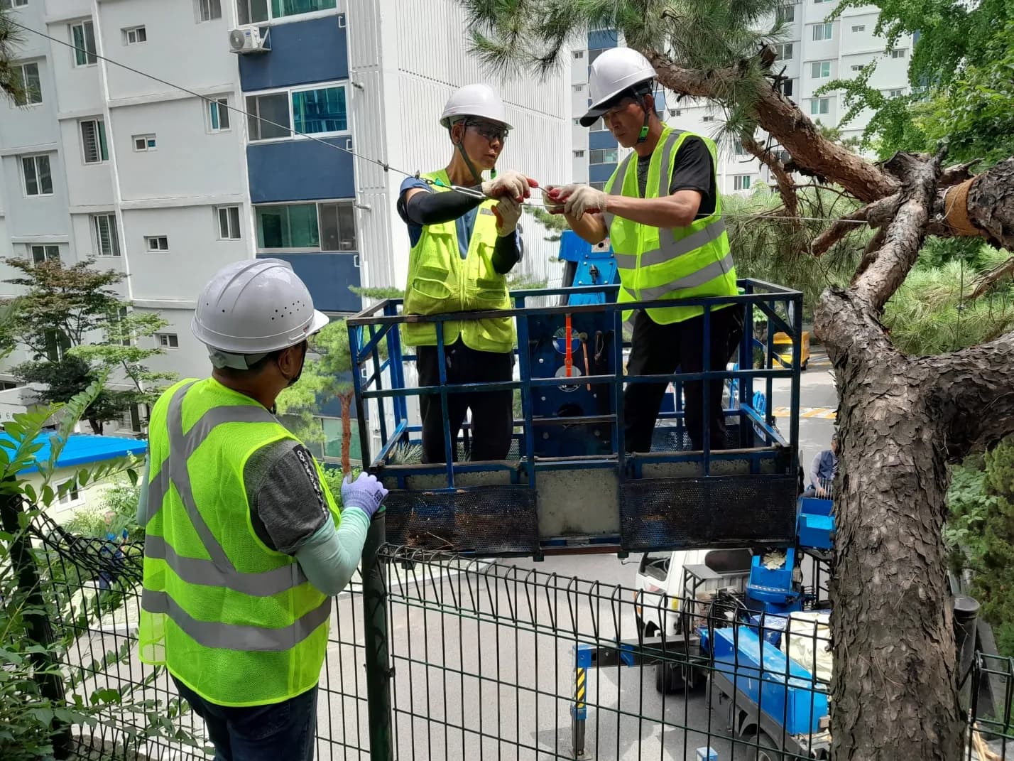 삼성조경 조경공사 전체 사업실적 현장 사진